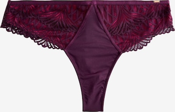 LipsyTanga gaćice - ljubičasta boja: prednji dio
