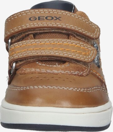 GEOX Sneaker in Braun