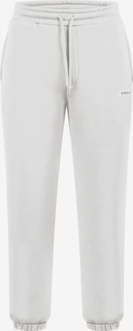 Smilodox Trousers in Beige: front