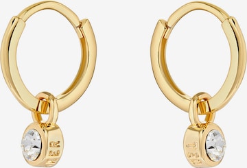 Ted Baker Earrings 'SINALAA' in Gold