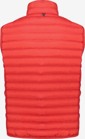 CMP Sportbodywarmer in Rood