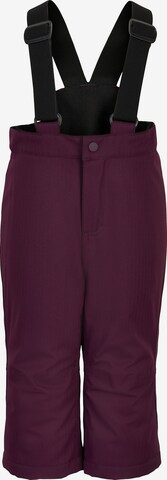 COLOR KIDS Athletic Pants in Purple: front