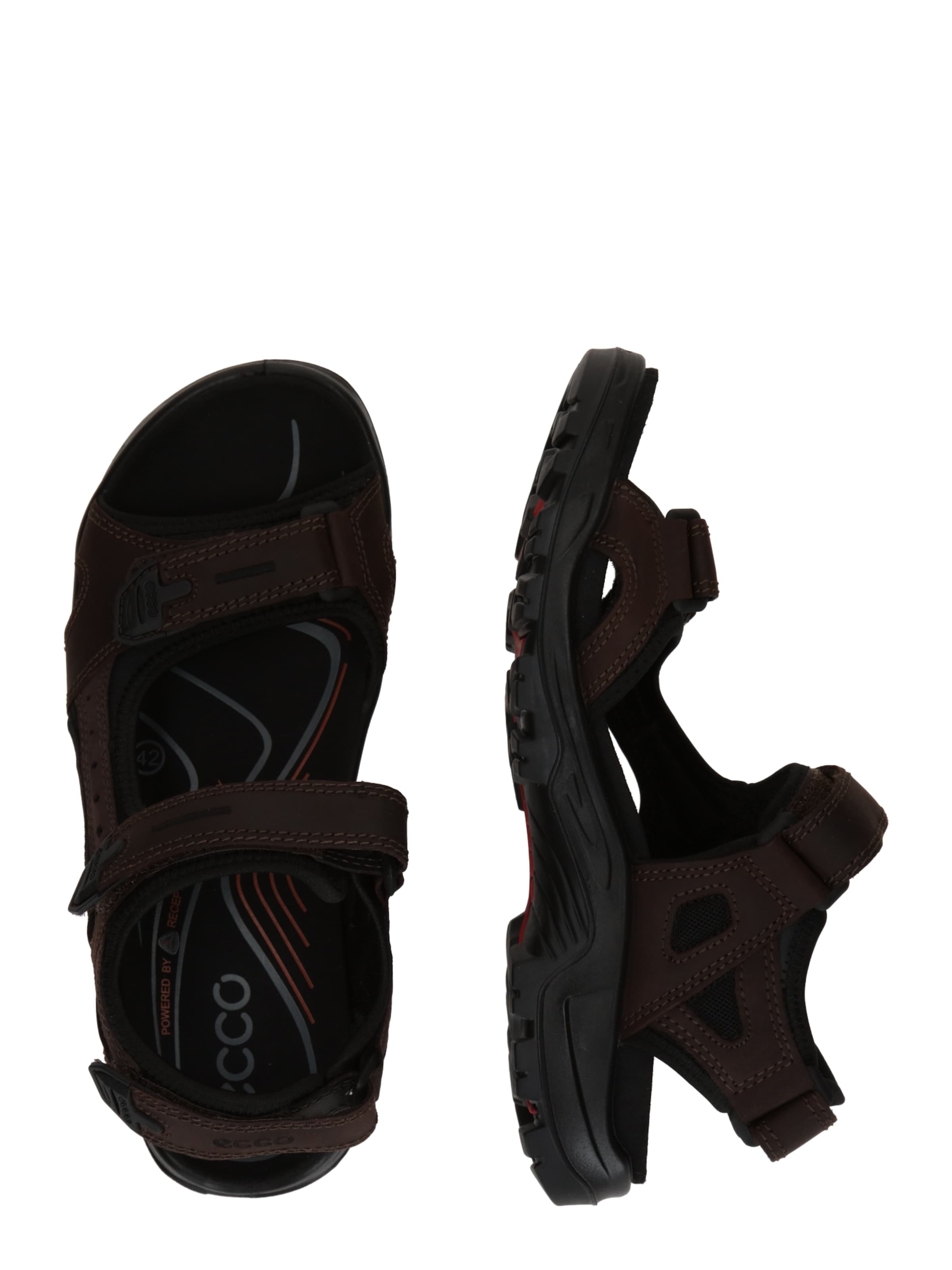 ECCO Sandały trekkingowe 'Offroad' w kolorze brązowy