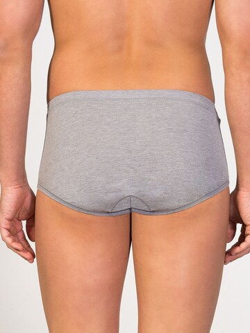 Slip 'Senior Fly Front Brief' di zd ZERO DEFECTS in grigio