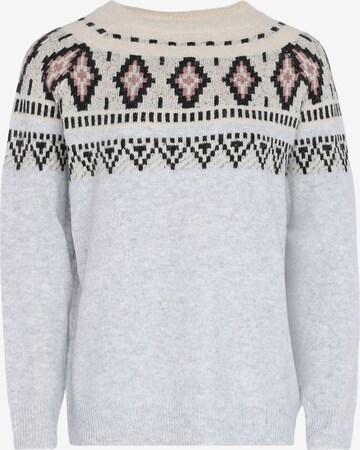 FENIA Sweater in Grey: front