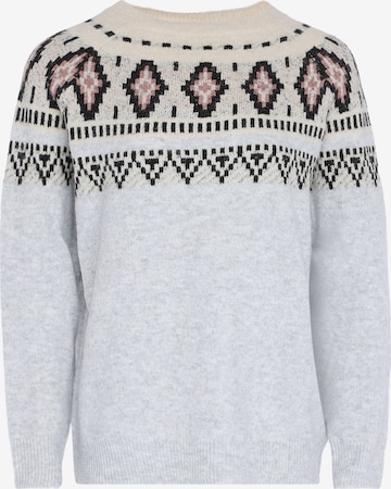 FENIA Sweater in Grey: front