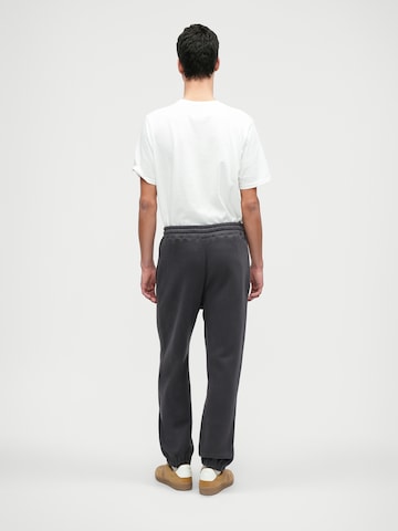 Baggy Pantalon HOLLISTER en gris