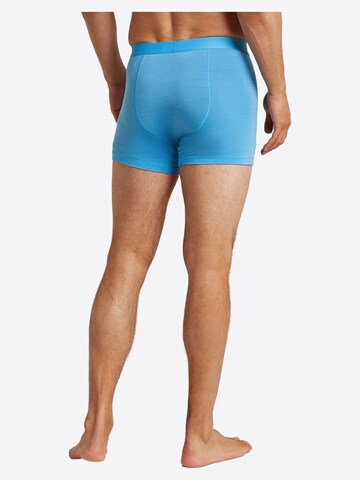 ICEBREAKER - Boxers 'M Mer 125 Cool-Lite Anatomica Boxers' em azul