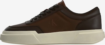 Baskets basses Calvin Klein en marron : devant