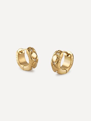 GUESS Earrings 'Shining Winter' in Gold
