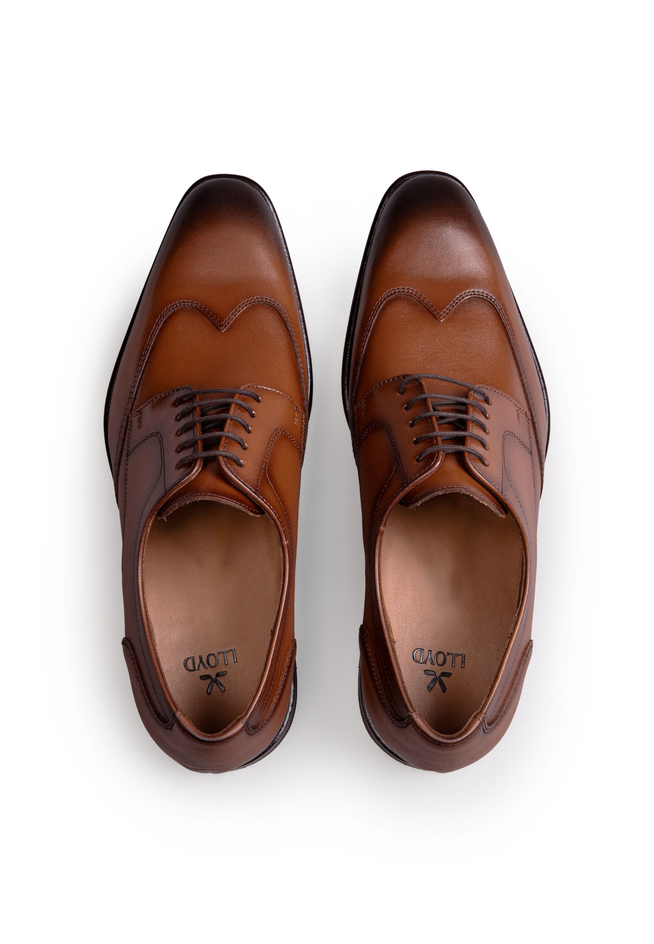 LLOYD Schnürschuh LENO 140 in Braun