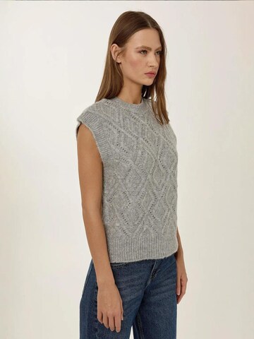 Hiccup Vest in Grey