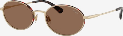 Einheitsgröße dydžio Akiniai nuo saulės '0PH3162' iš Polo Ralph Lauren, spalva – rusvai rausva / tamsiai ruda / Auksas, Prekių apžvalga
