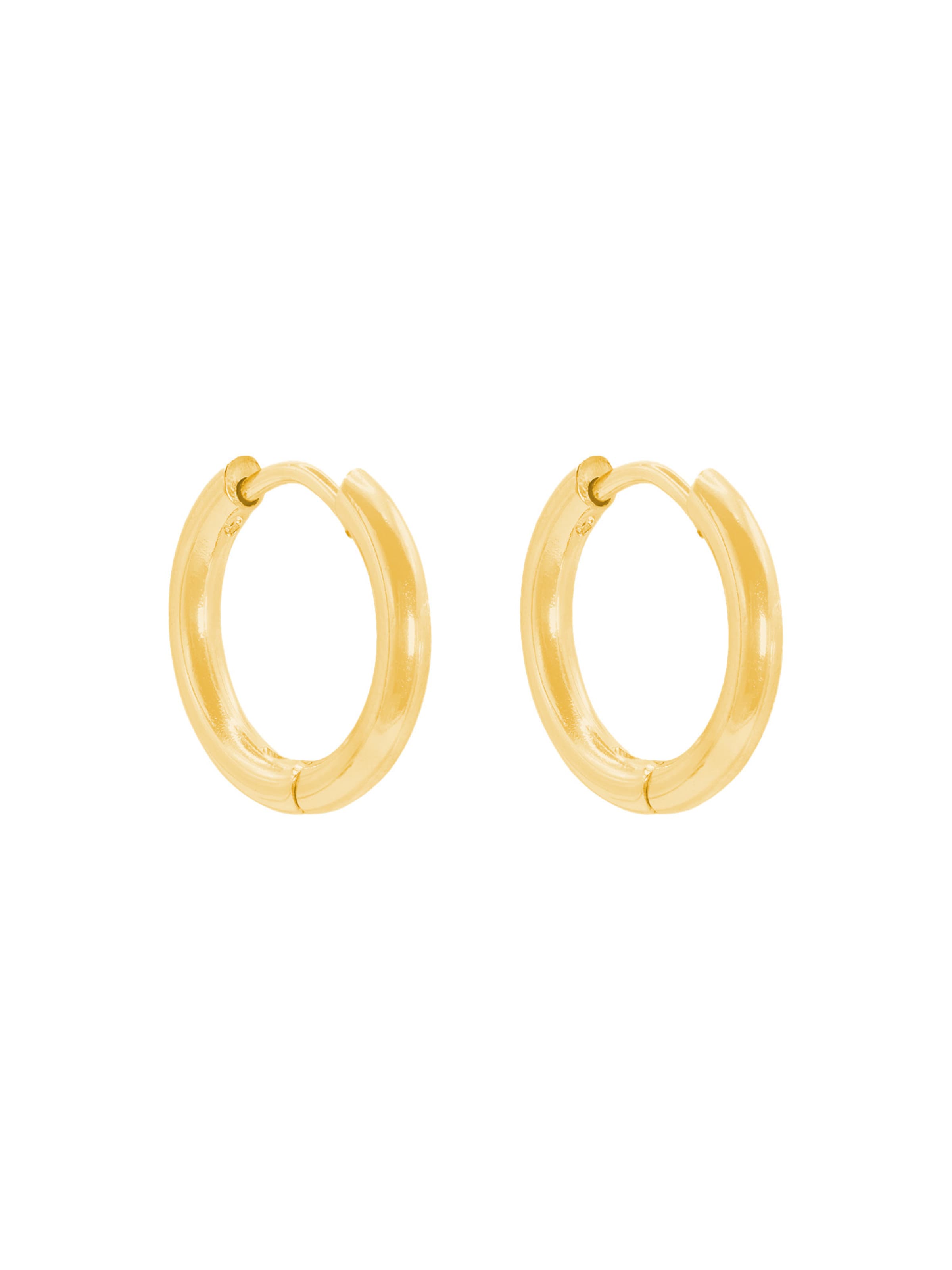 Heideman Earrings 'Bruti' in Gold: front