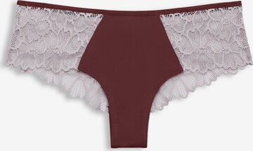 Culotte ESPRIT en marron : devant