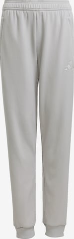 ADIDAS PERFORMANCE Sporthose 'Tiro 25 Travel' in Grau: Vorderseite
