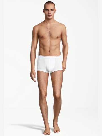 SEIDENSTICKER Boxer shorts 'Modern Basic' in White