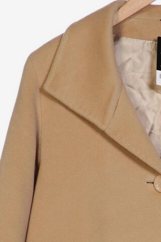 CINZIA ROCCA Jacket & Coat in XL in Beige