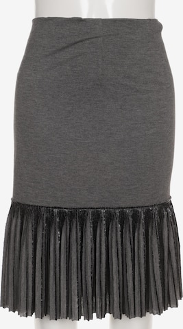 Sallie Sahne Skirt in 4XL in Grey: front