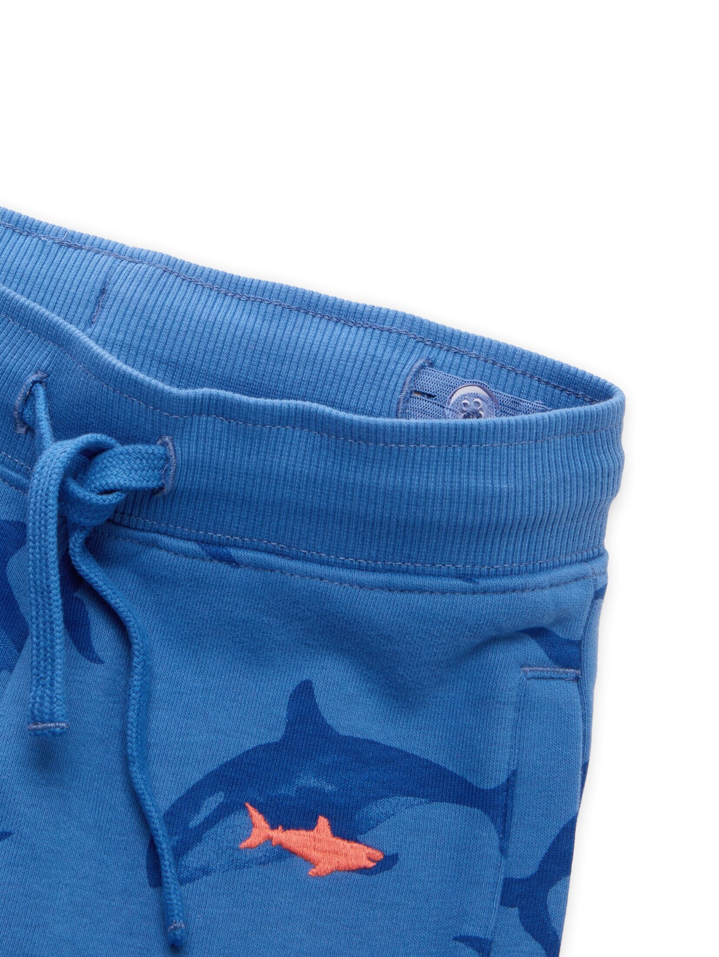 TOM TAILOR Regular Trousers in Blue