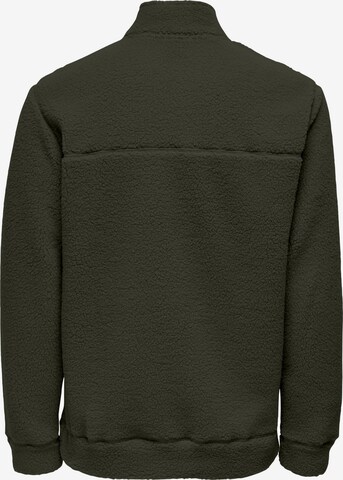 Only & Sons Sweatshirt 'REMY' i grøn