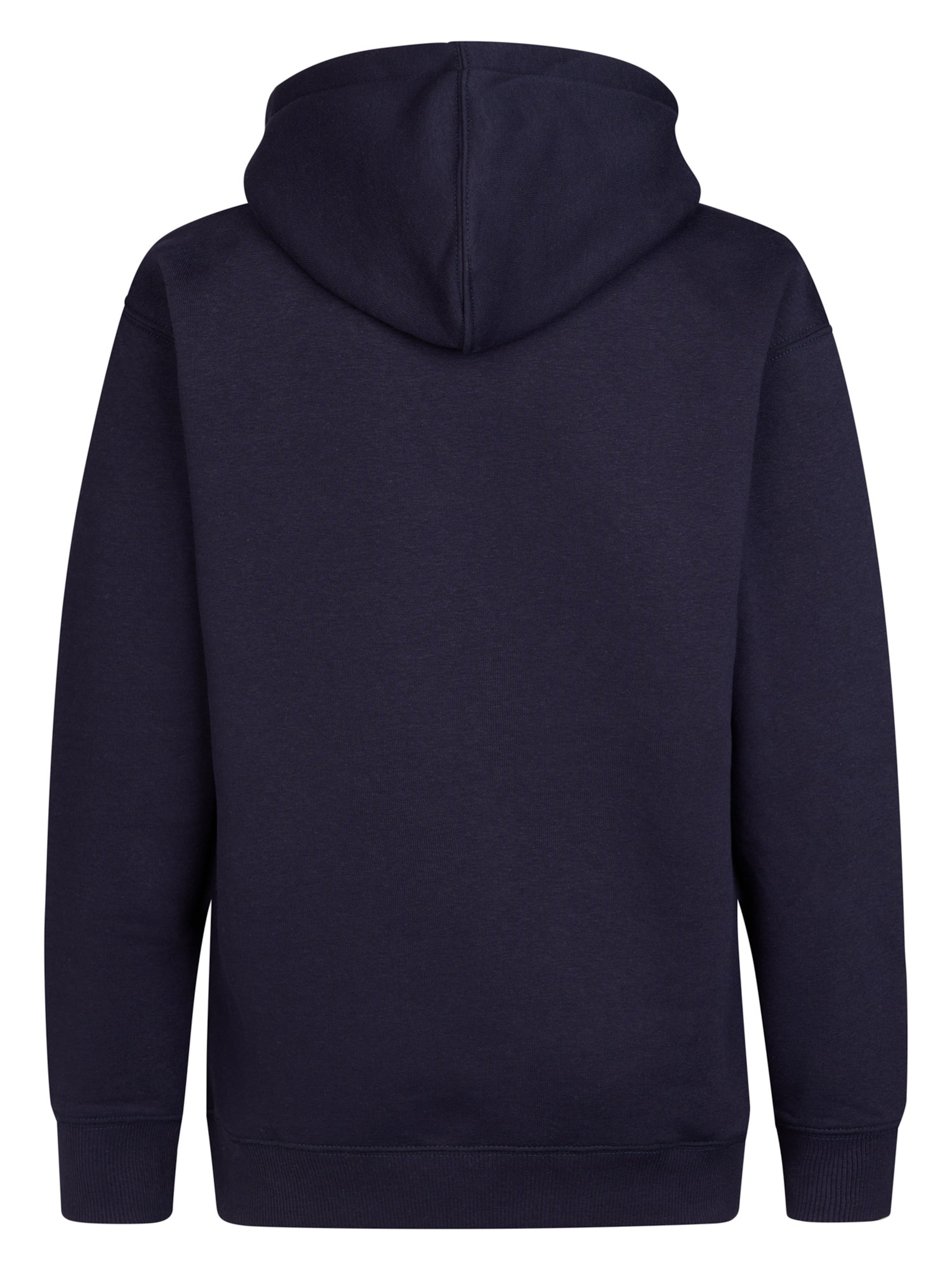 Petrol Industries Sweatshirt 'Millrun' in Blau