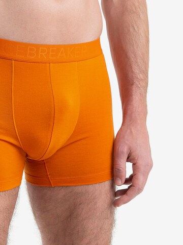 ICEBREAKER - Boxers 'Anatomica' em laranja