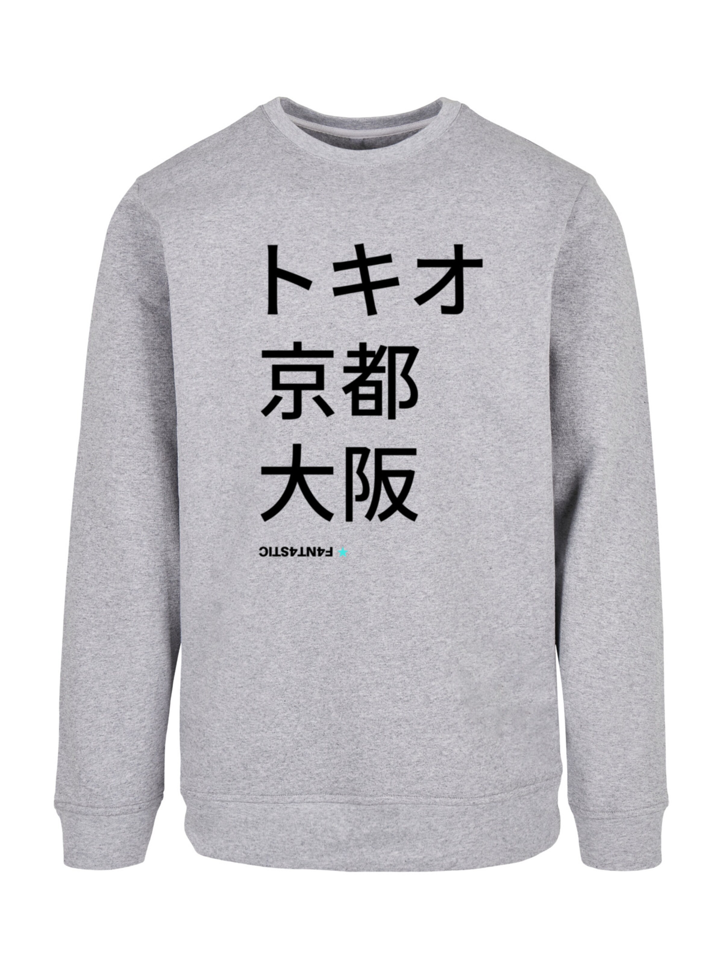 Sweat-shirt 'Tokio, Kyoto, Osaka' F4NT4STIC en gris : devant
