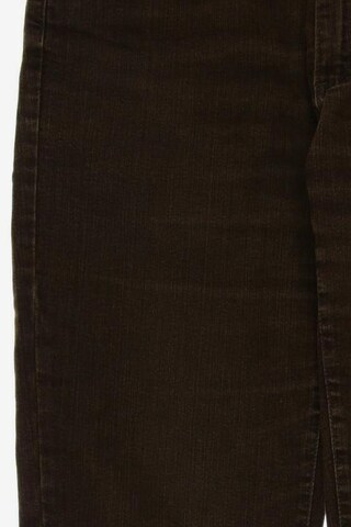 Angels Jeans in 34 in Brown