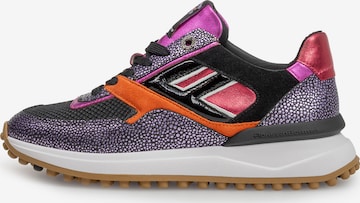 Baskets basses 'Noppi 36' Floris van Bommel en violet : devant