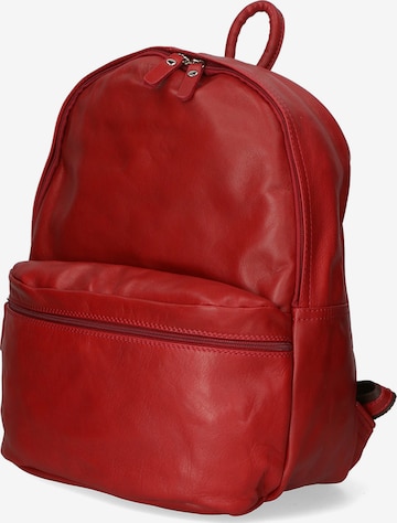 Gave Lux Rucksack in Rot: Vorderseite