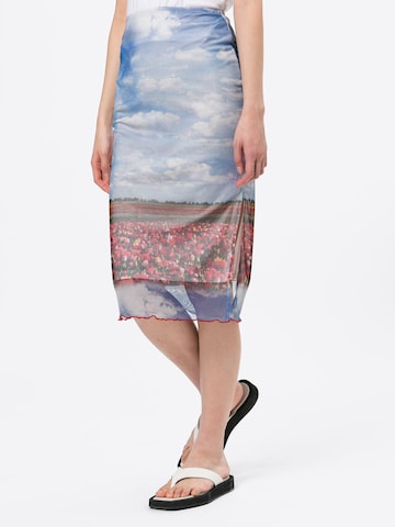 Vintage Supply Skirt in Mixed colors: front