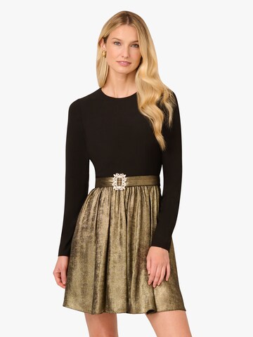 Adrianna Papell Cocktailjurk in Gemengde kleuren: voorkant