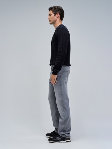 Regular Jean Salsa Jeans en gris