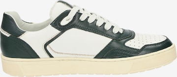 SIOUX Sneakers 'Tedroso-DA-700' in Green