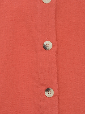 Dorothy Perkins Petite Blouse in Orange