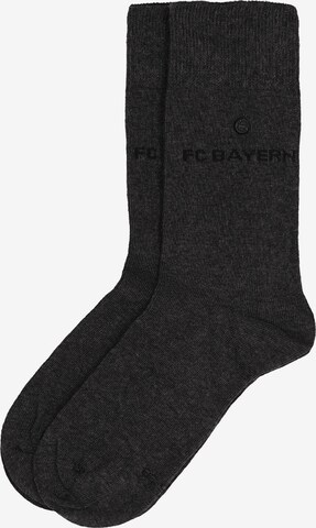 FC BAYERN MÜNCHEN Socks in Grey: front
