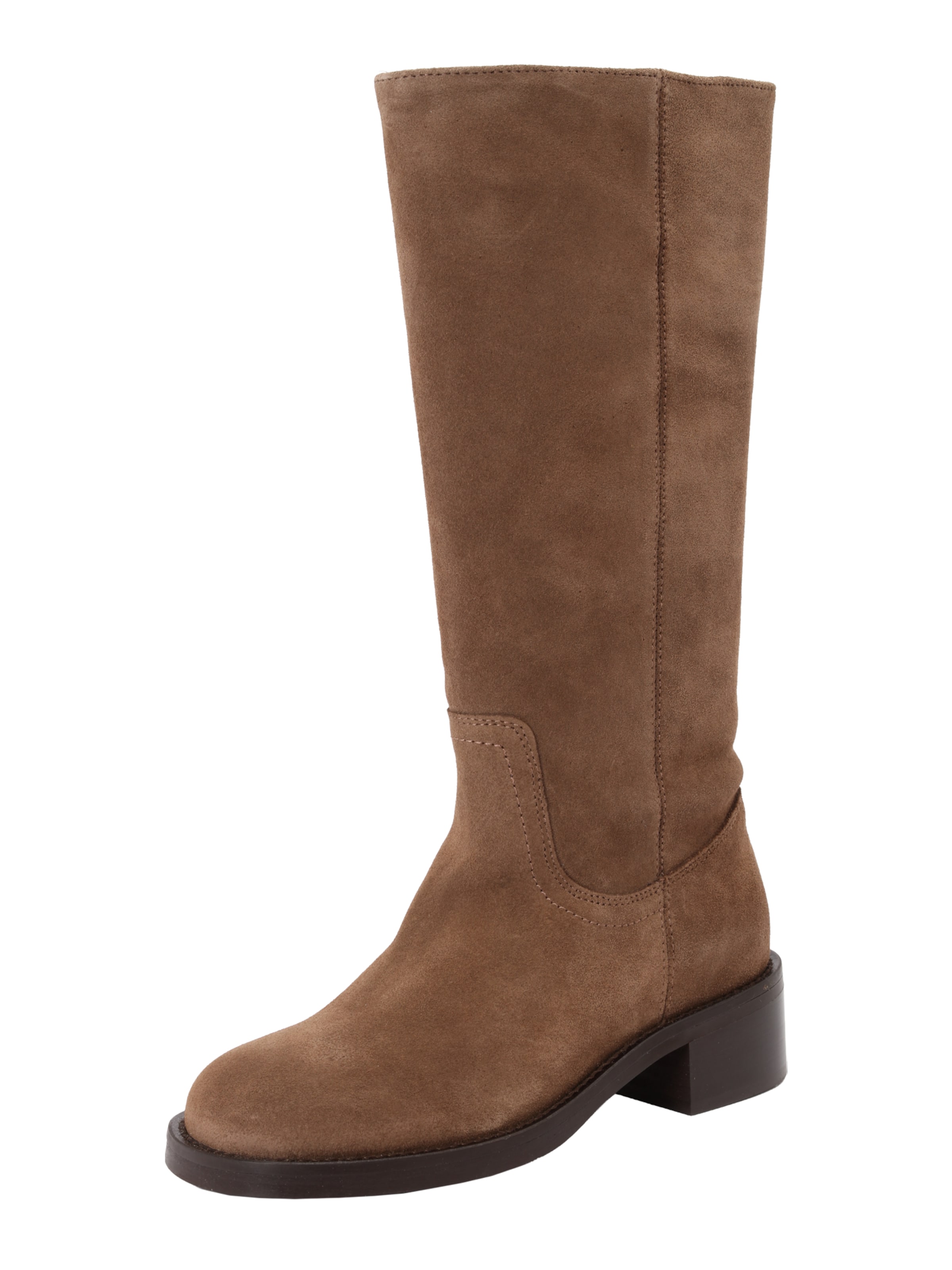 STEVE MADDEN Сапоги 'Riggs-E' в Коричневый: спереди