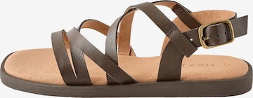 Next Sandale in Braun: Vorderseite