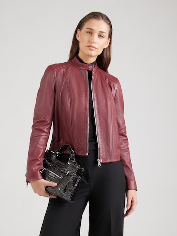 BOSS Jacke 'C_Saleste1' in Rot: Vorderseite