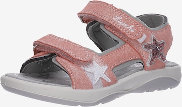 LURCHI Sandals in Pink: front