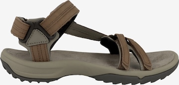 TEVA Sandals 'Terra' in Brown