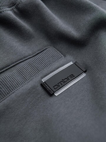 Ombre Regular Chino trousers in Grey