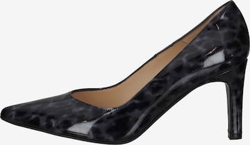 PETER KAISER Pumps in Black