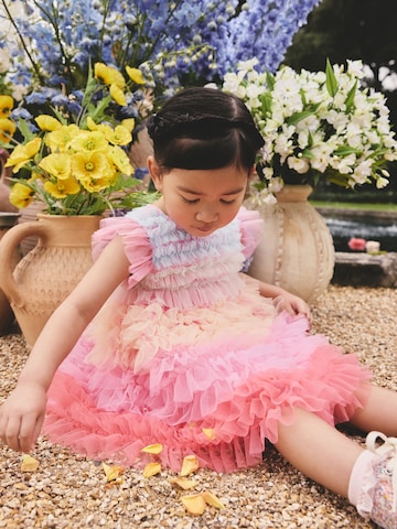 Next Dress in Mixed colours