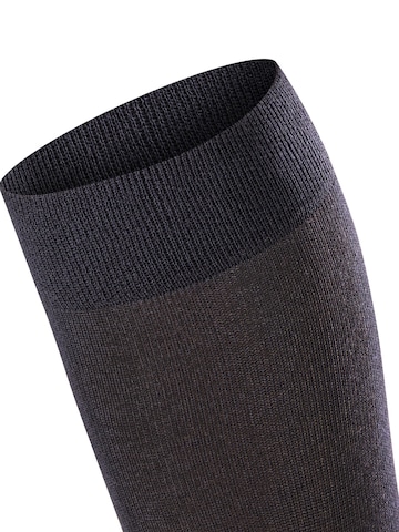 FALKE Overknee Strümpfe 'Sensitive London'‌‌‌‌‌ in Blau