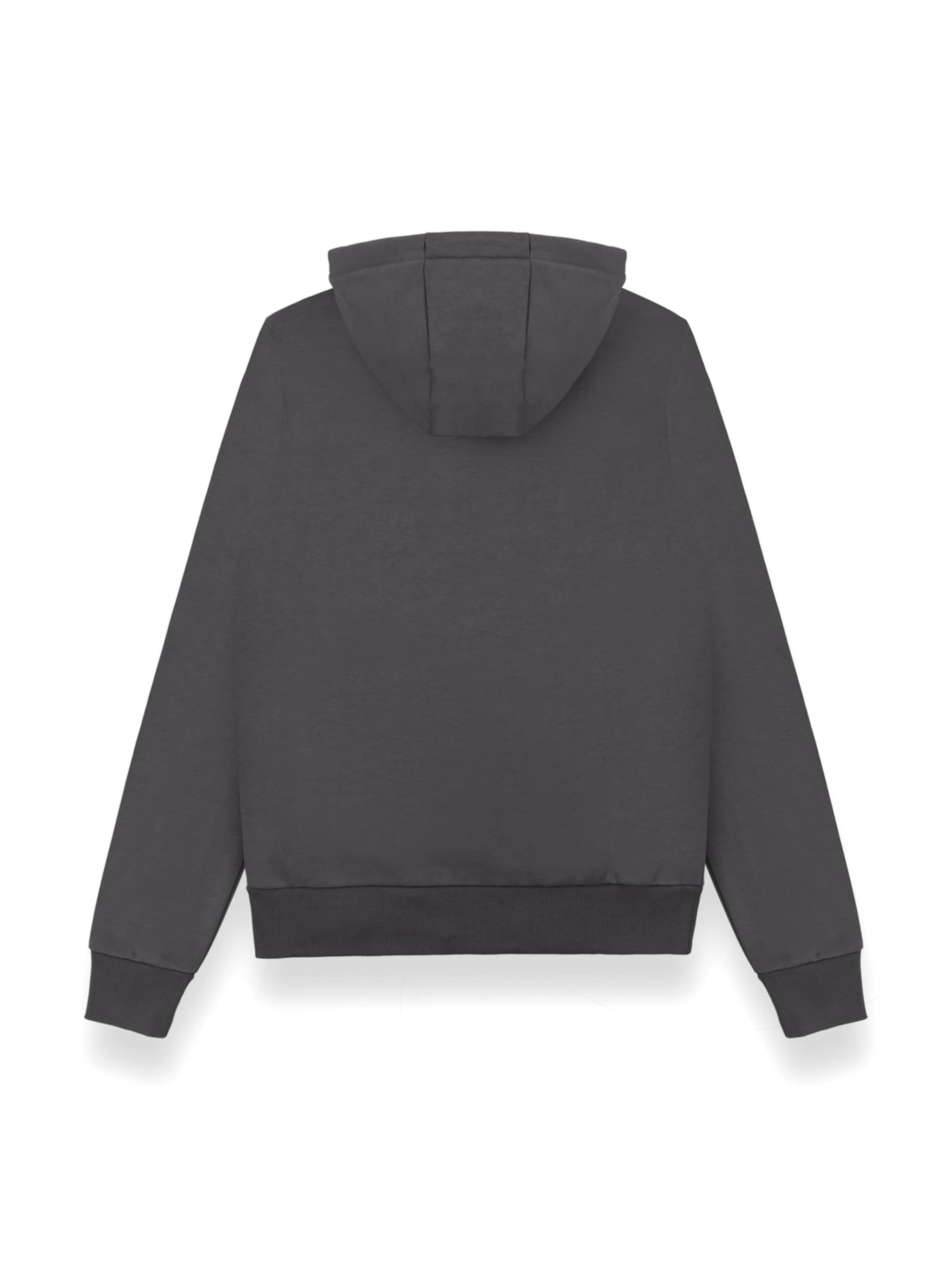 Felpa '6248' di Colmar in grigio