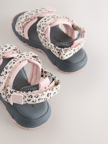 Sandales Next en mélange de couleurs