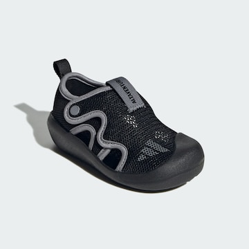 Chaussures ouvertes 'Altaventure 3' ADIDAS SPORTSWEAR en noir