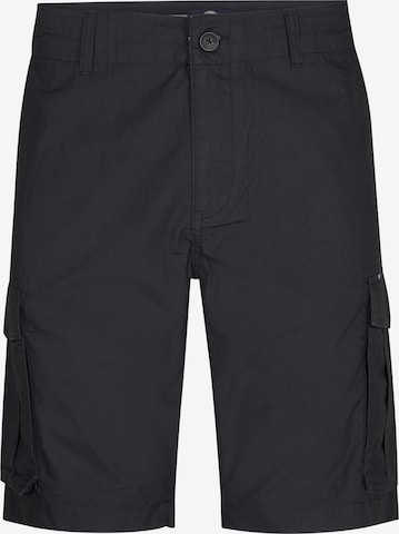 Pantalon cargo Petrol Industries en gris : devant
